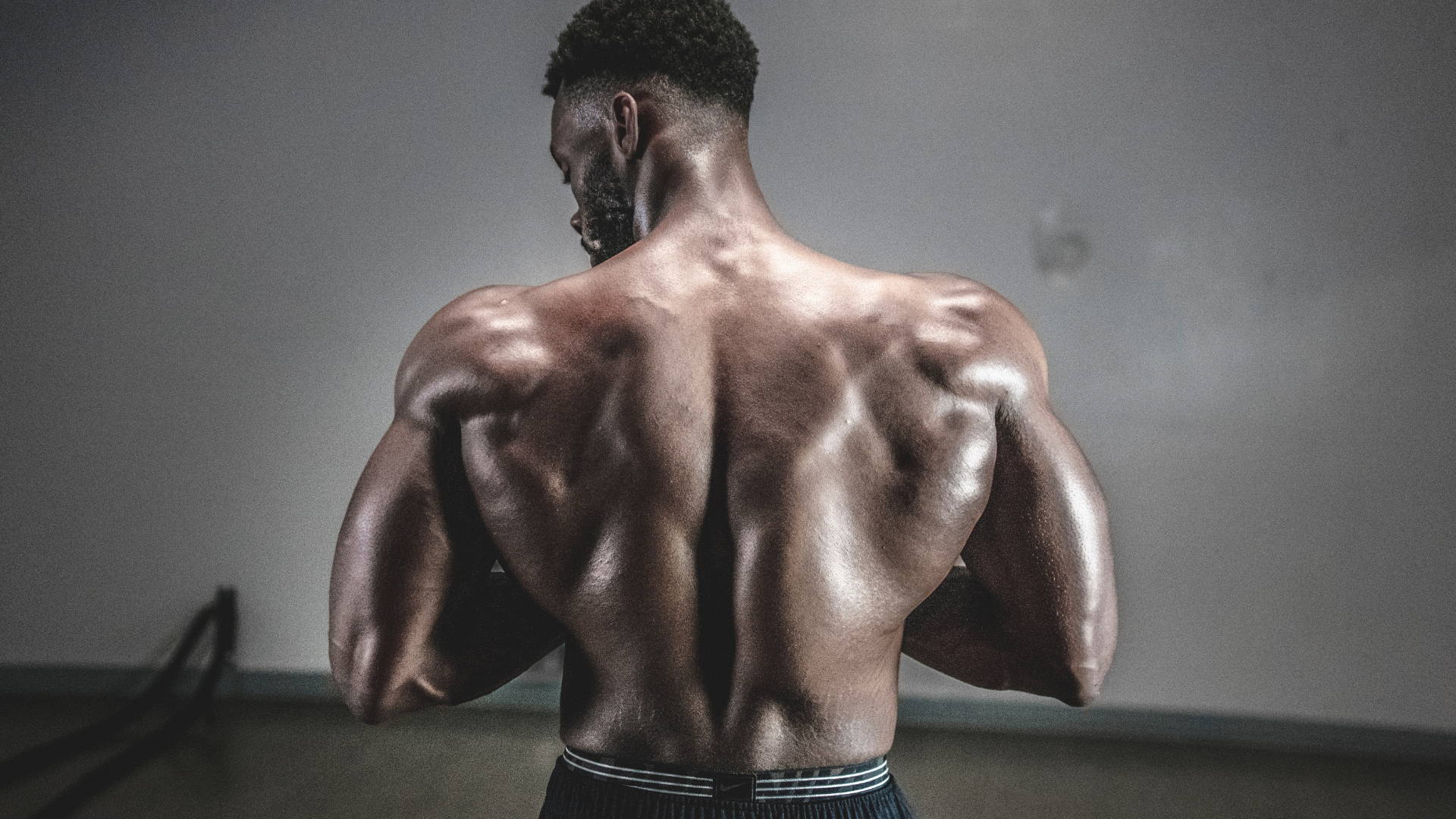 FIBRAS MUSCULARES