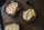BIZCOCHO PURO CHOCOLATE