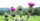 CONOCE LOS BENEFICIOS DEL MILK THISTLE